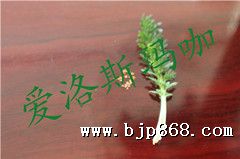 点击看全图