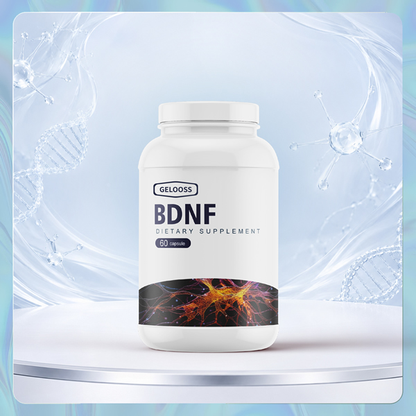 ���޹������ ��Դ �羳���� BDNF��Դ����Ӫ�����ӽ��ң�����Ŵ�