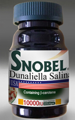 ����ԭװ����  ����Ƭ�������л������壩