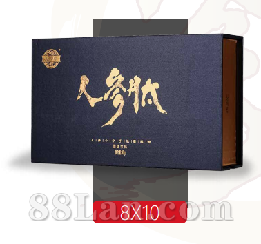 ˲ģ8g*10 ˲ʳ˲רOEM