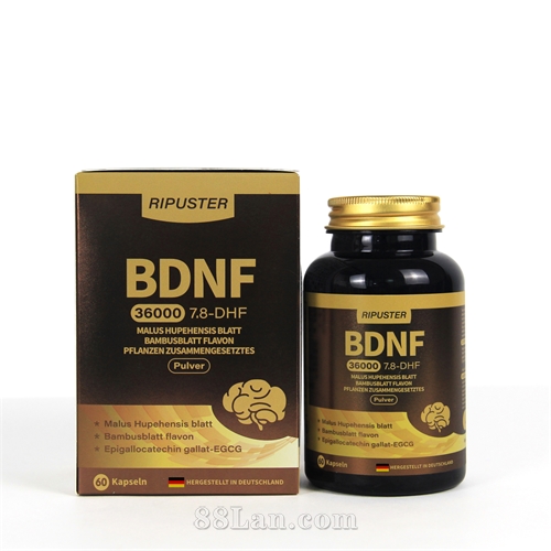 ҶҶֲͪ︴Ϸ۵¹ԭװڿ羳BDNF˽ֱֻOEMӹ