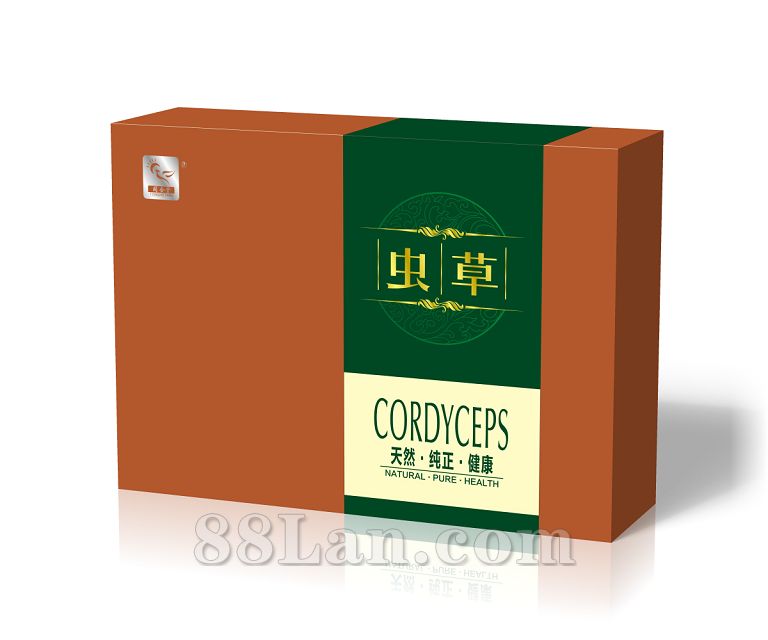 ���--��OEM���ӹ�