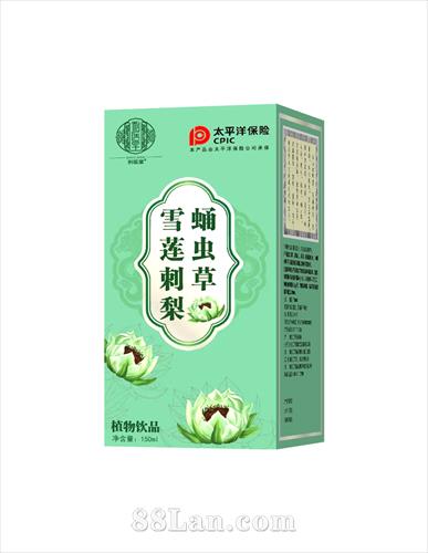 ѩ������Ӽ���