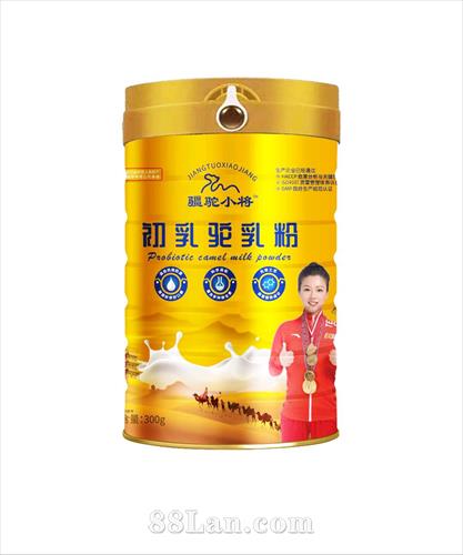 ����С�����������