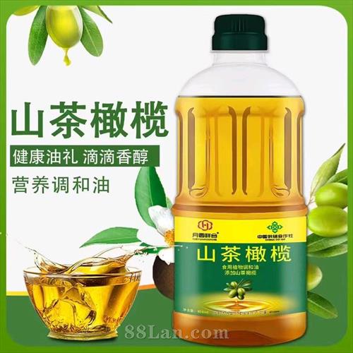 ɽ�������