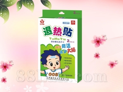 ������2Ƭװ