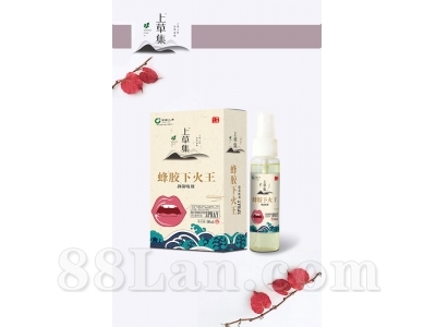 �佺�»����־����