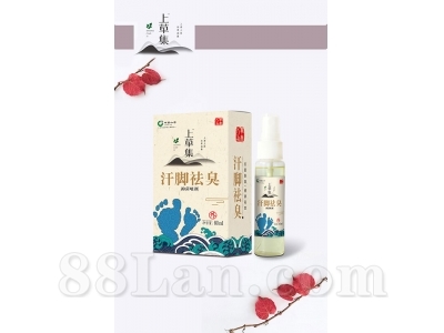 ������ζ���