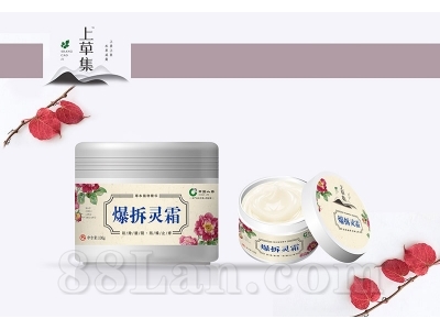 ������˪